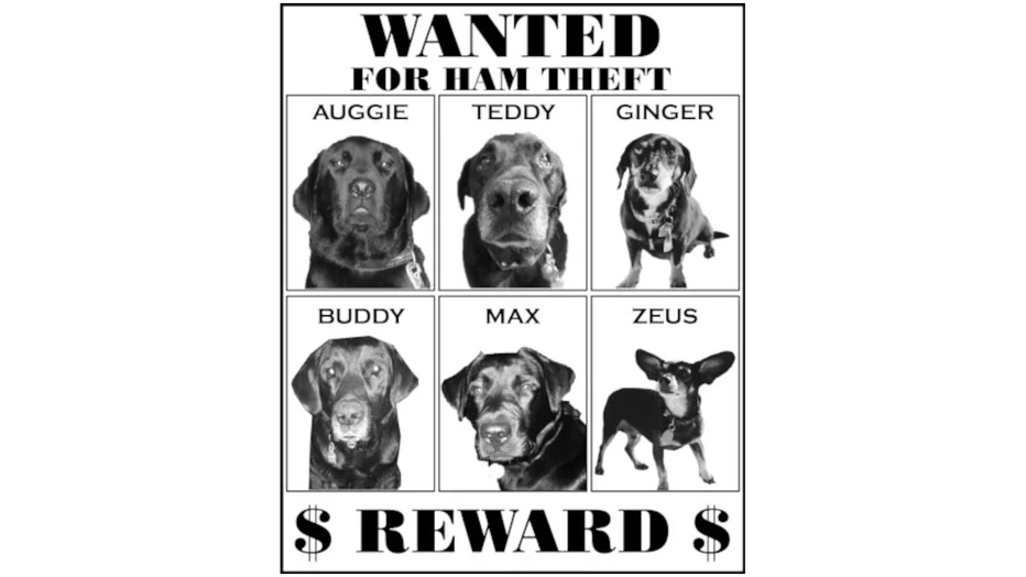 DAY OF THE DOGS – VOLUME V – by Max