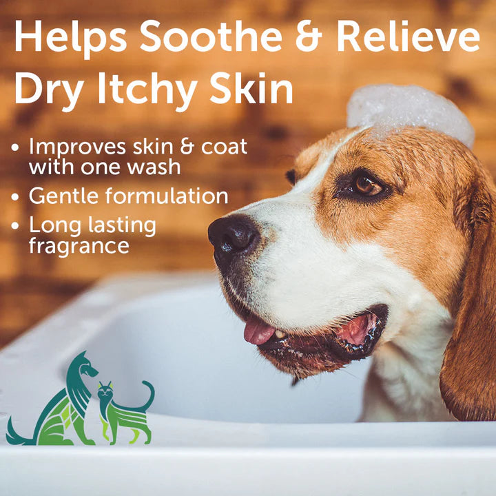 Pet Shampoo - 16oz - Cucumber Melon Scent