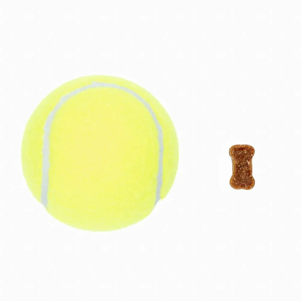 Daily Probiotic for Dogs - 60 Chews