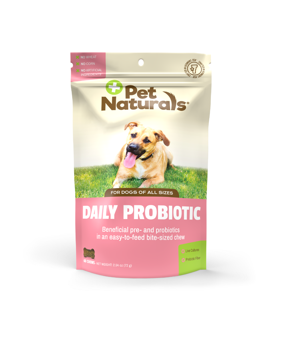 Daily Probiotic for Dogs - 60 Chews