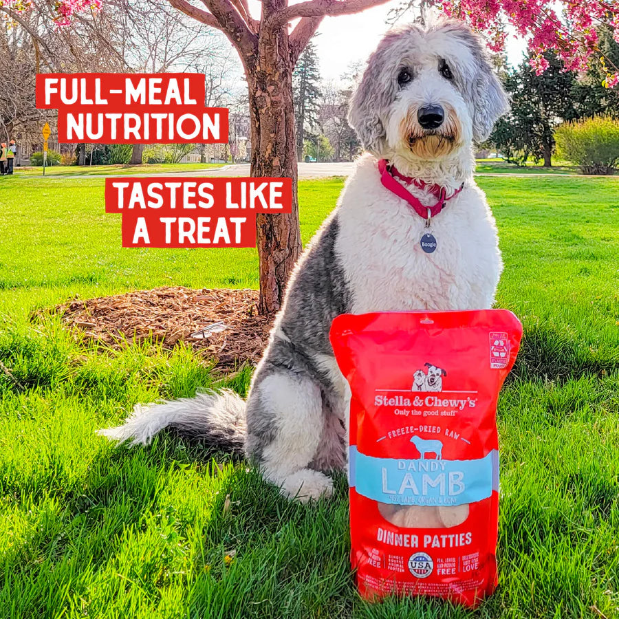 Stella & Cheweys Dehydrated Dog Food - Lamb Dinner