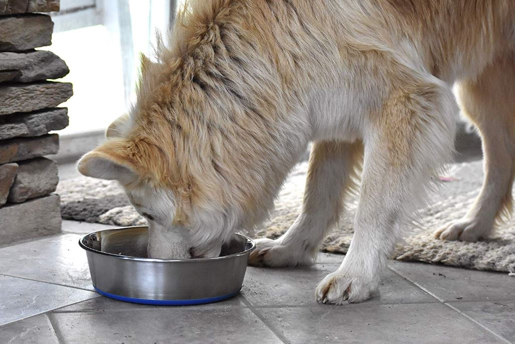 Stainless Steel Bowl