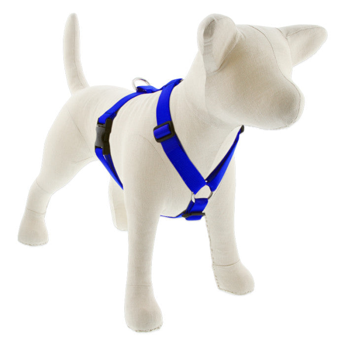 Roman Dog Harness - 3/4" - 20"-32"