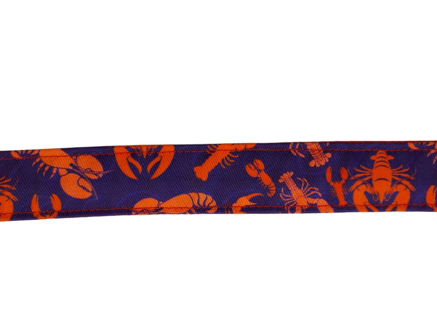 1” Ribbon Dog Leash – Crabby Lobster