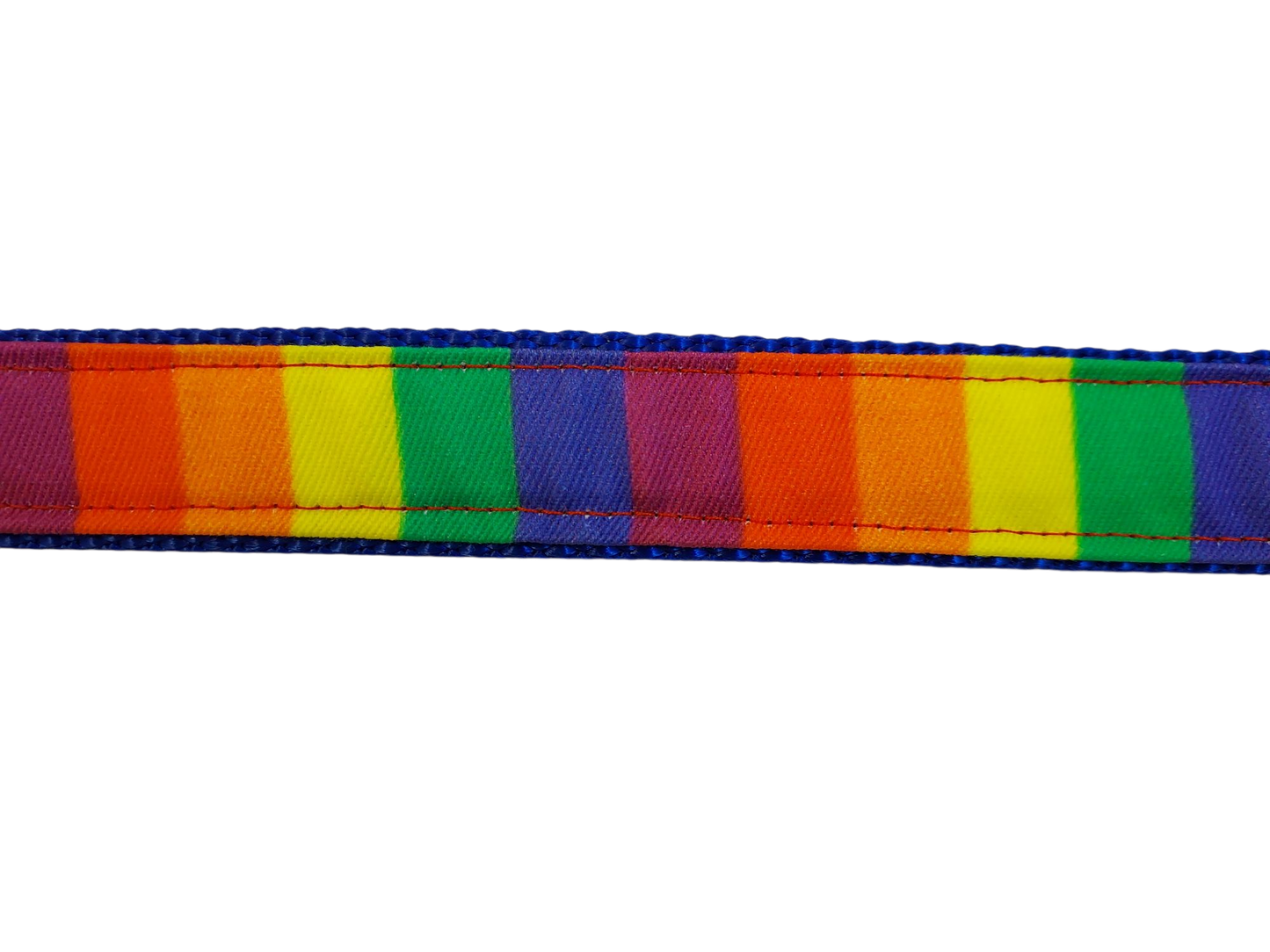 1” x 5ft Ribbon Dog Leash – The Pride
