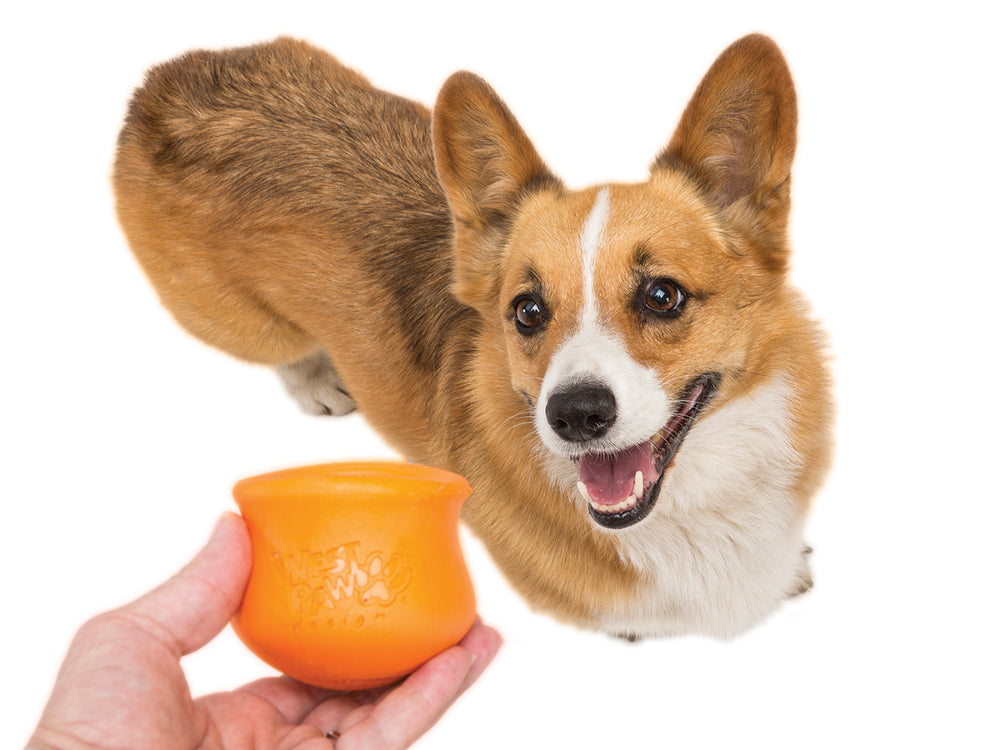 Dog Treat Toy - Toppl