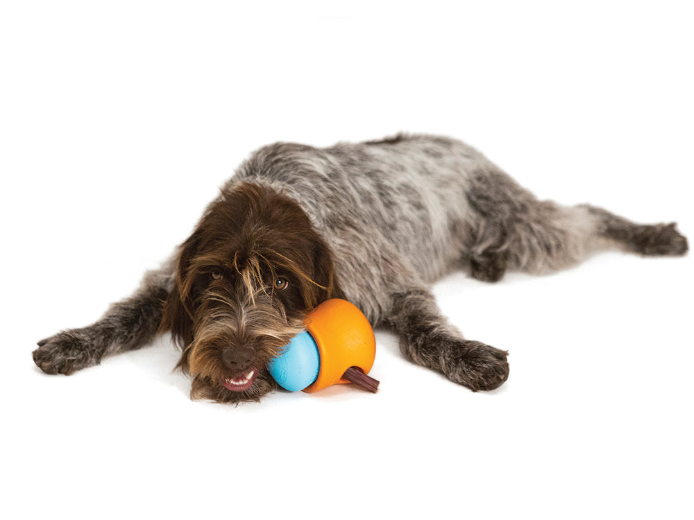Dog Treat Toy - Toppl