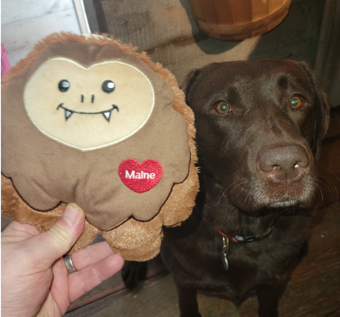Stuffed Dog Toy - Plush Maine Sasquatch