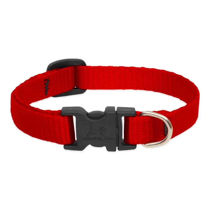 3/4” Nylon Dog Collar - 13"-22"