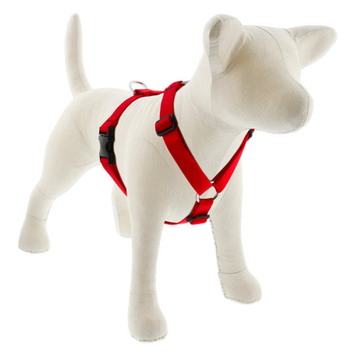 Roman Dog Harness - 3/4" - 20"-32"