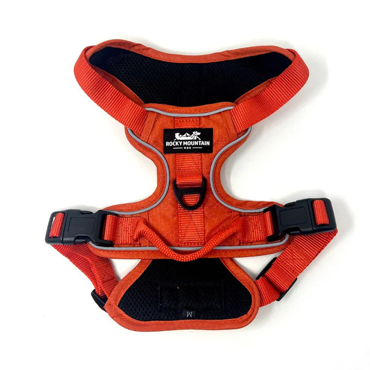 All Terrain Dog Harness