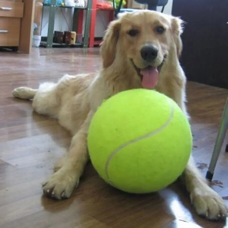 Large Tennis Ball