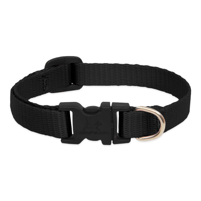 3/4” Nylon Dog Collar - 13"-22"