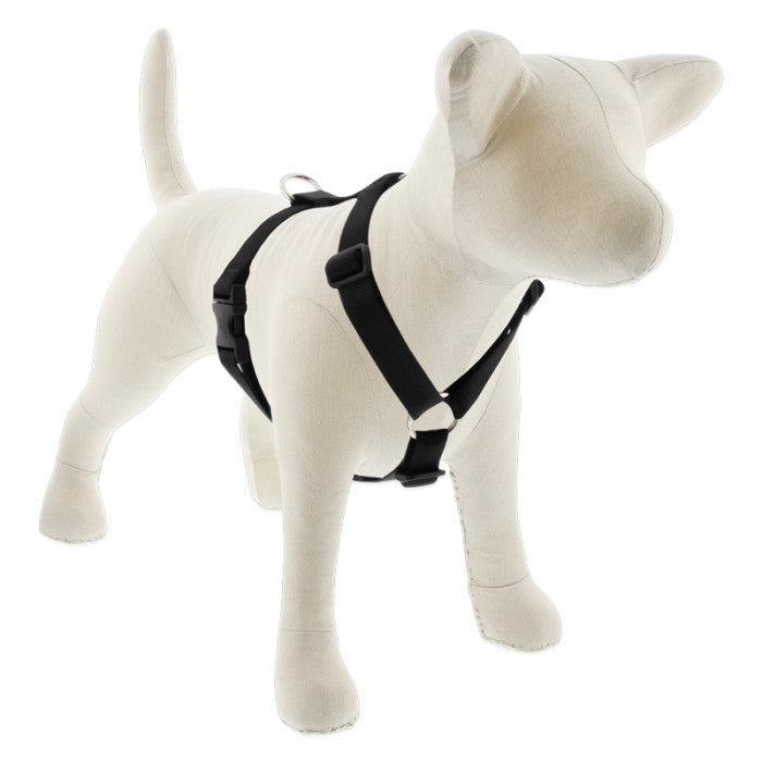 Roman Dog Harness - 3/4" - 20"-32"