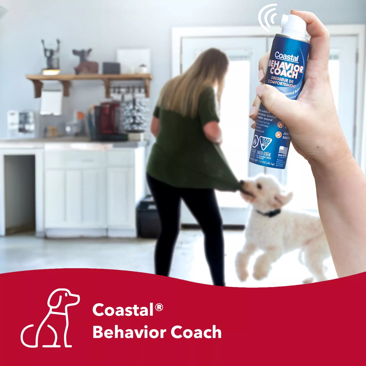 Behavior Coach - Compressed Air
