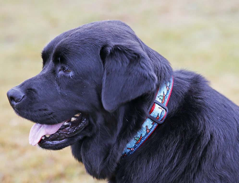 1” Ribbon Dog Collar – Holiday Lobster Boats