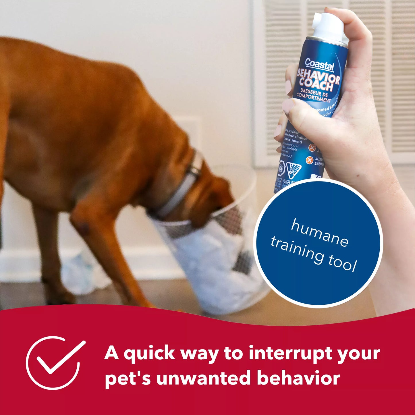 Behavior Coach - Compressed Air