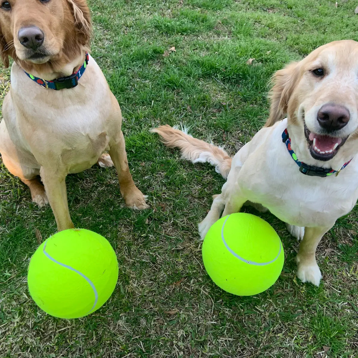 Large Tennis Ball