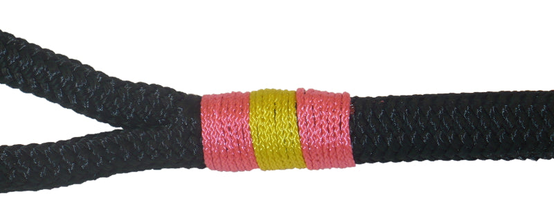 6ft Nautical Rope Dog Leash – Black