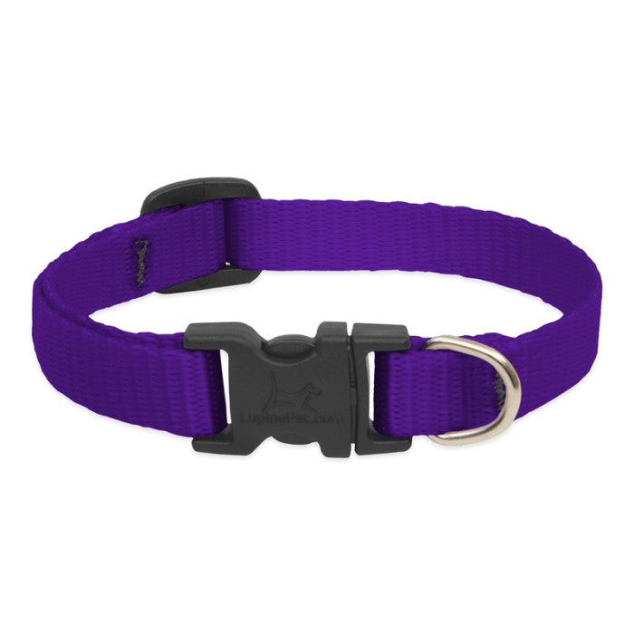 3/4” Nylon Dog Collar - 15"-25"