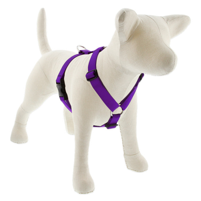 Roman Dog Harness - 3/4" - 20"-32"