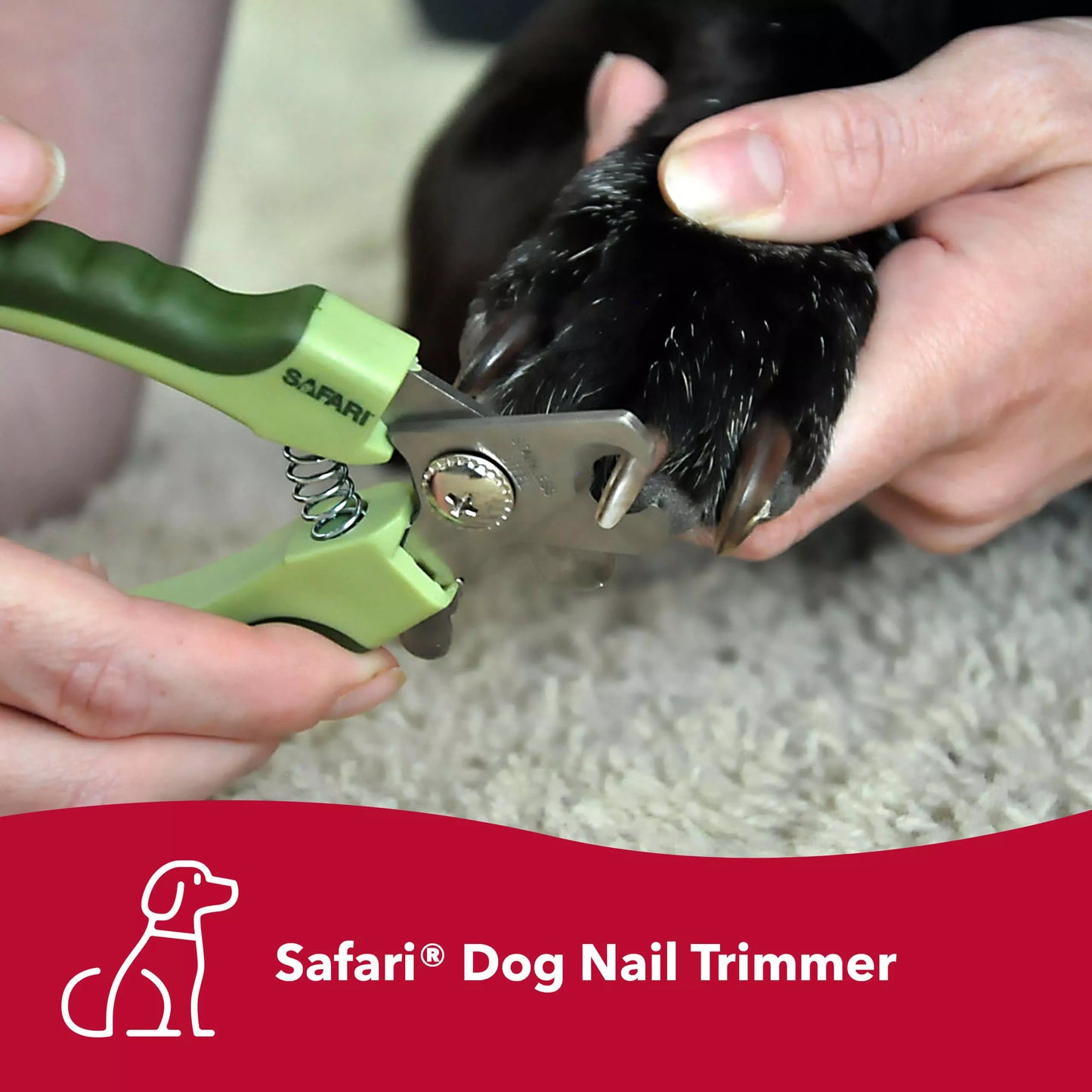 Dog Nail Trimmer