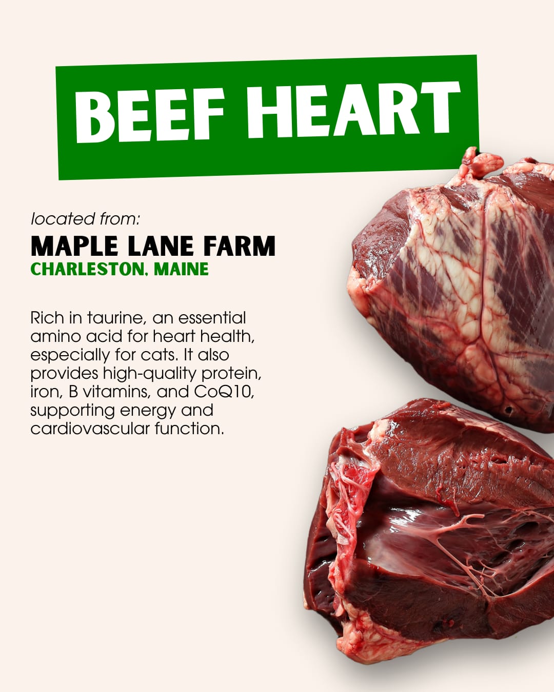AlphaDiets – Frozen Dog Food – Beef – 32oz