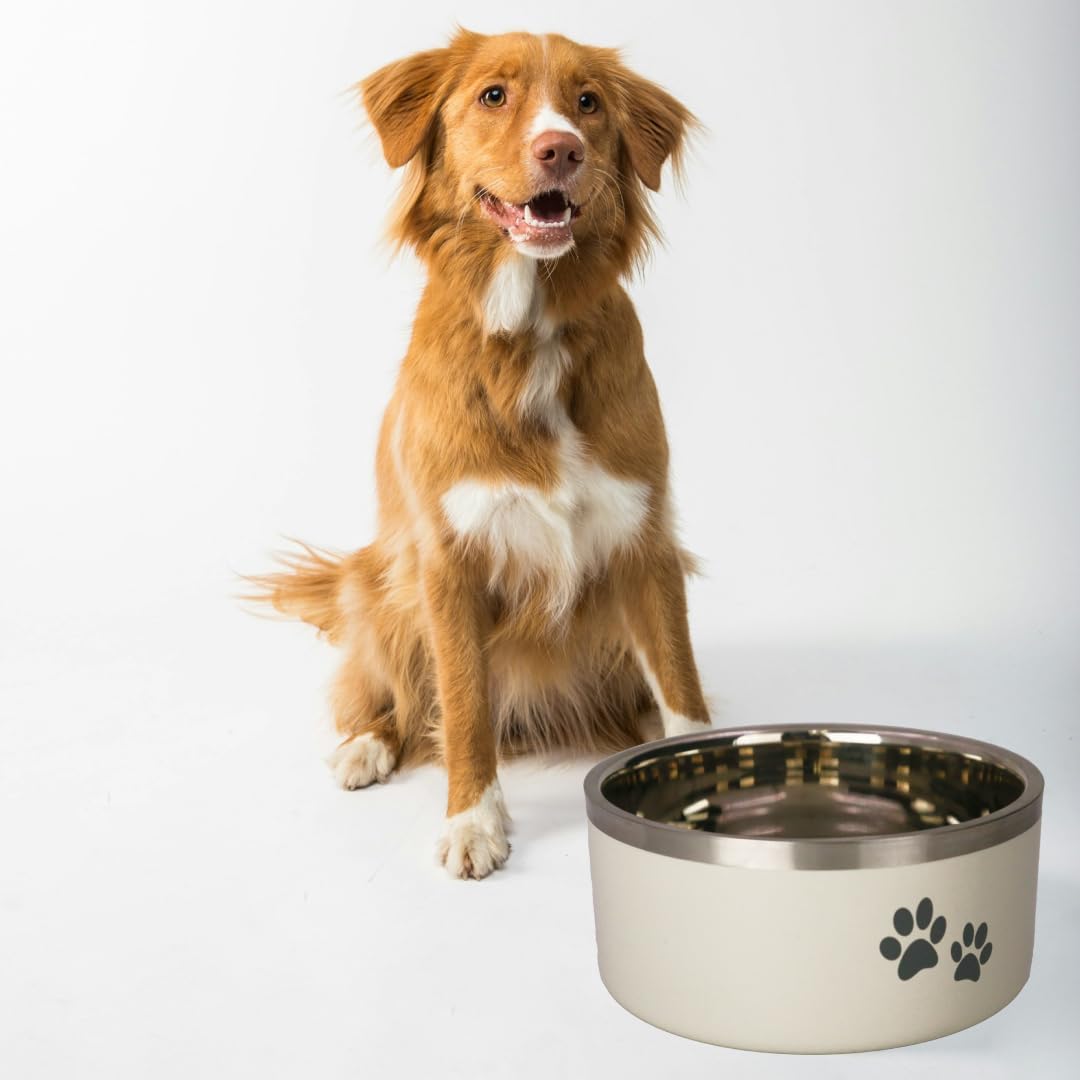 Double-Walled Food Bowl
