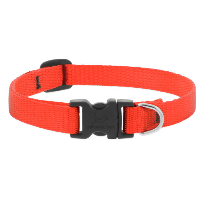 3/4” Nylon Dog Collar - 15"-25"