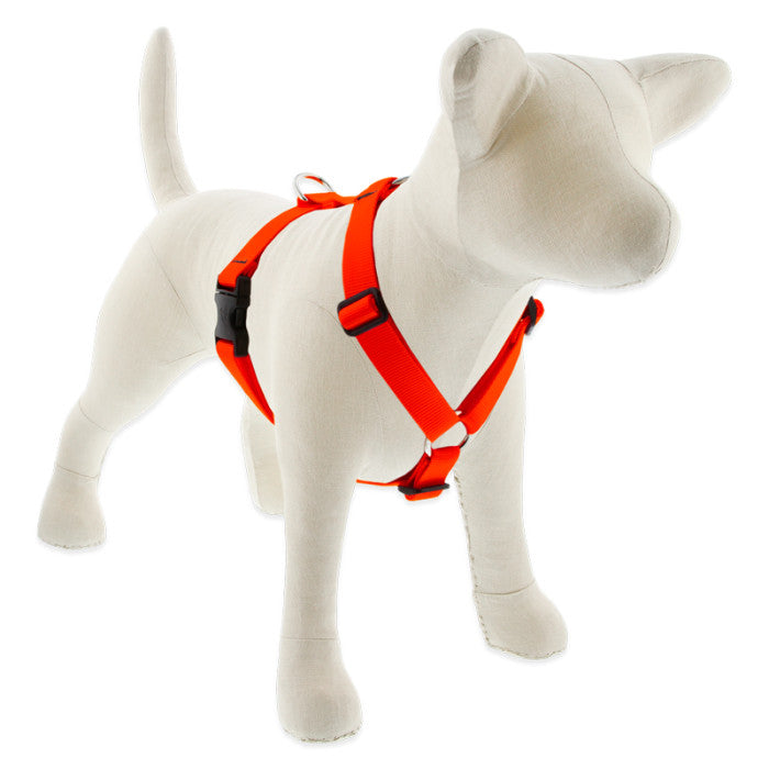 Roman Dog Harness - 3/4" - 20"-32"