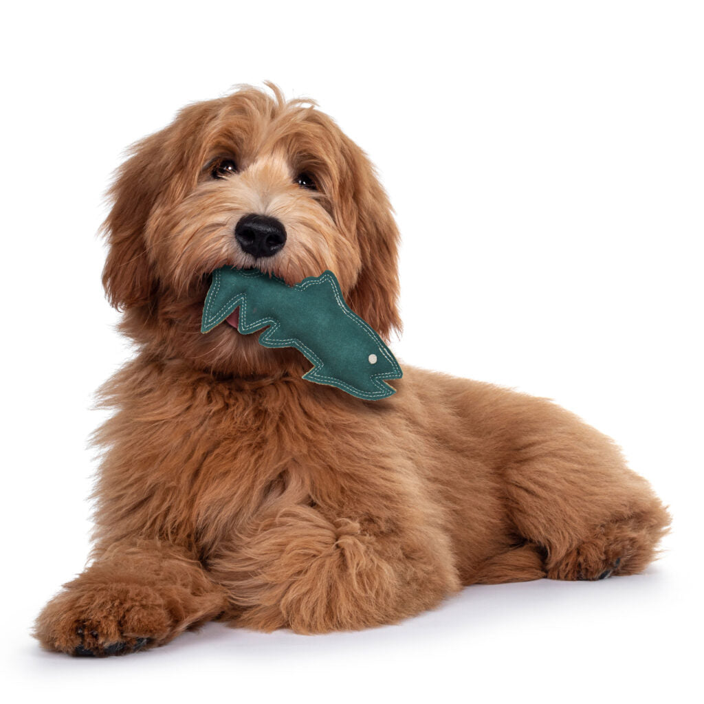 Dog Tug Toy - Durafused Leather Fish