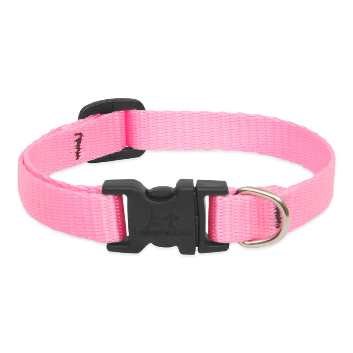 1/2” Nylon Dog Collar - 6"-9"
