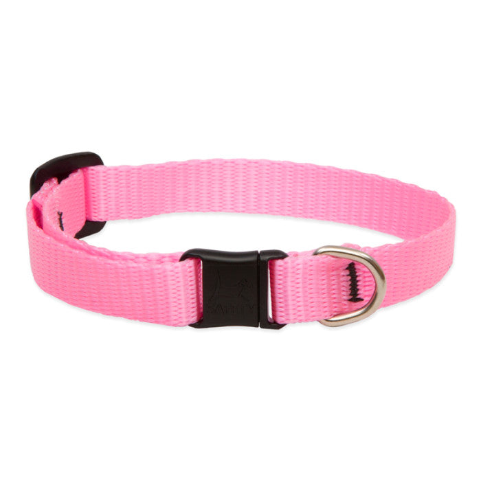 Nylon Cat Collar