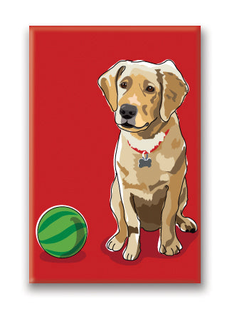 Magnet – Golden Retriever (7 Magnets)