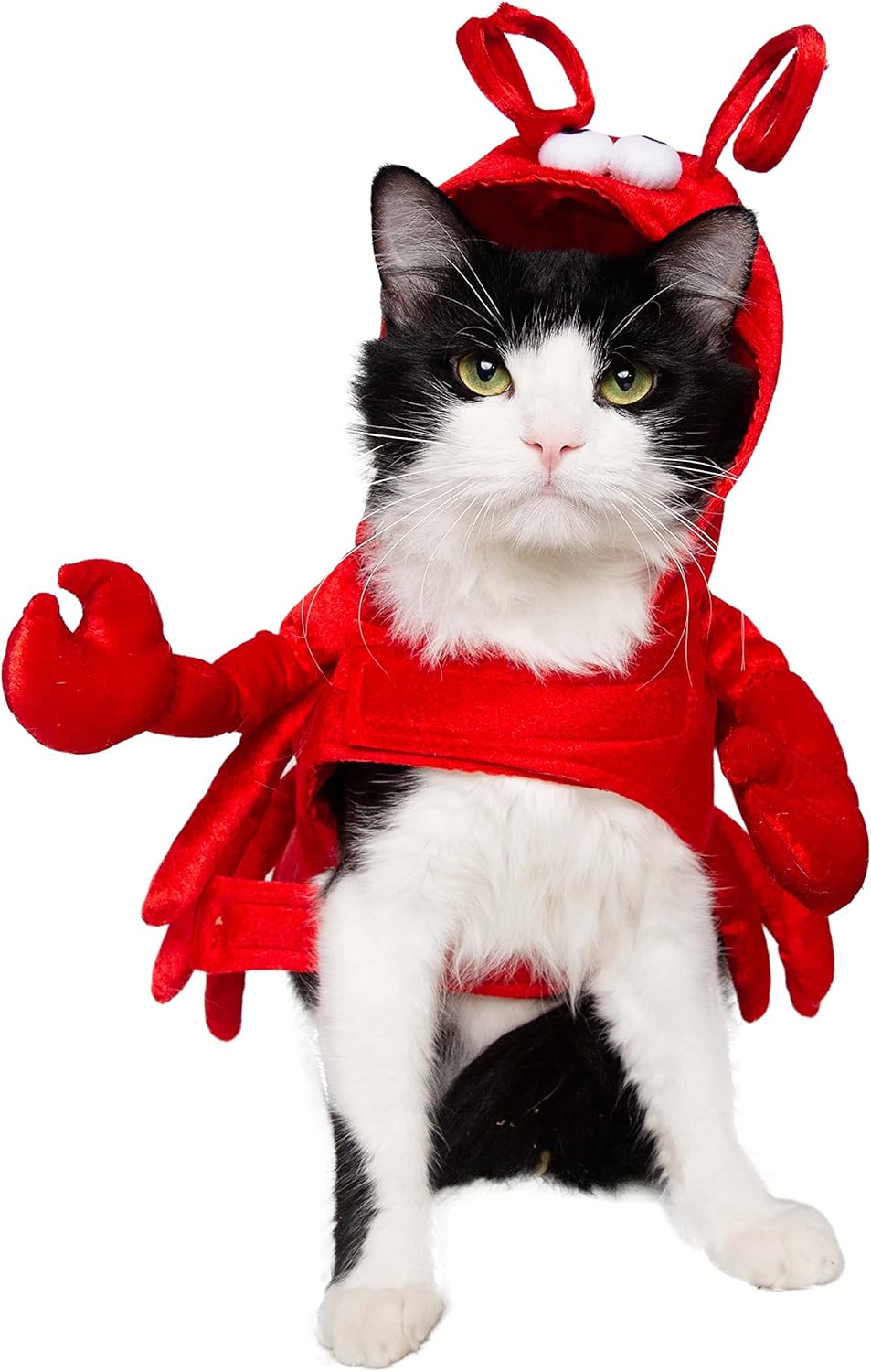 Dog Costume – Lobster