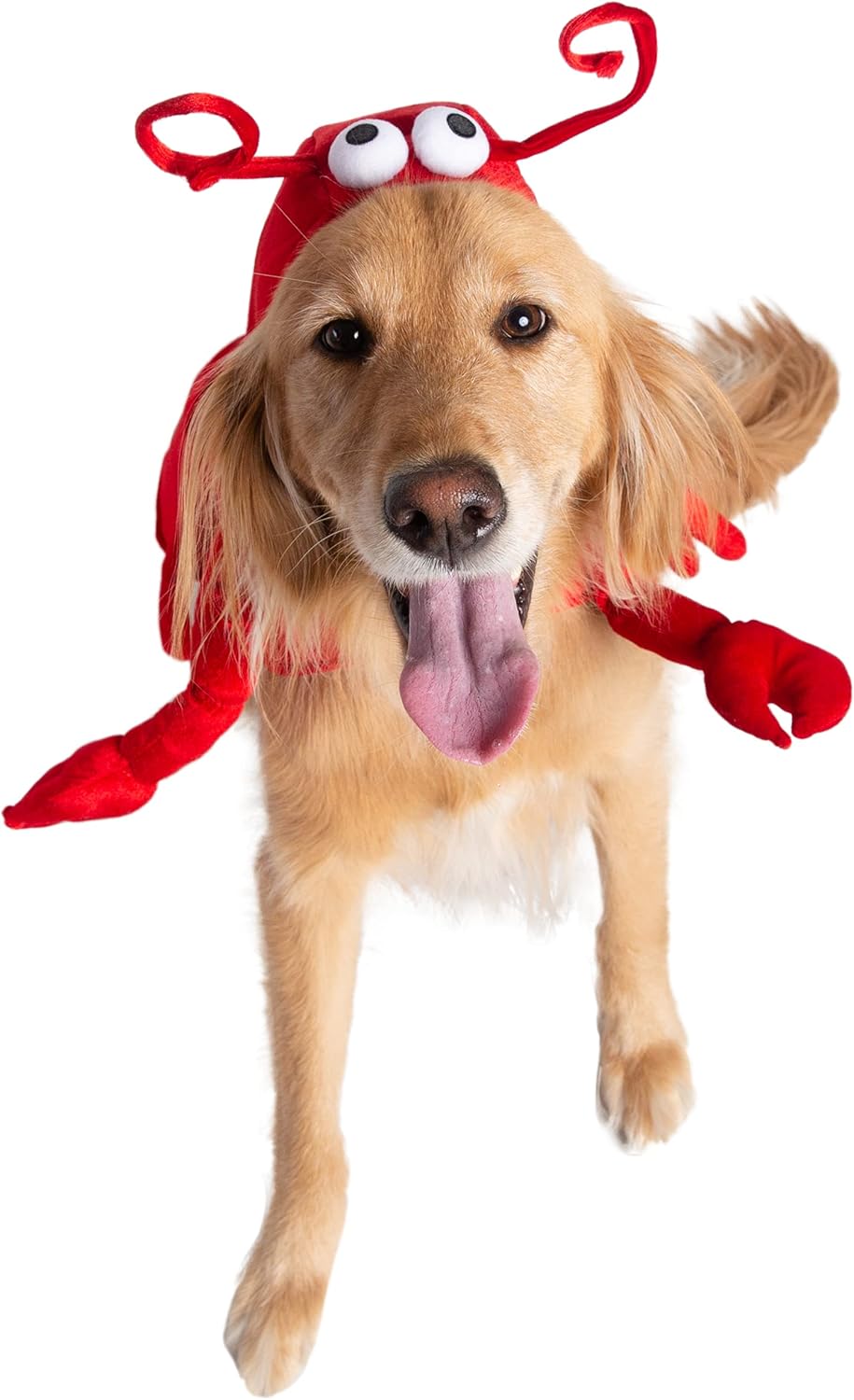 Dog Costume – Lobster