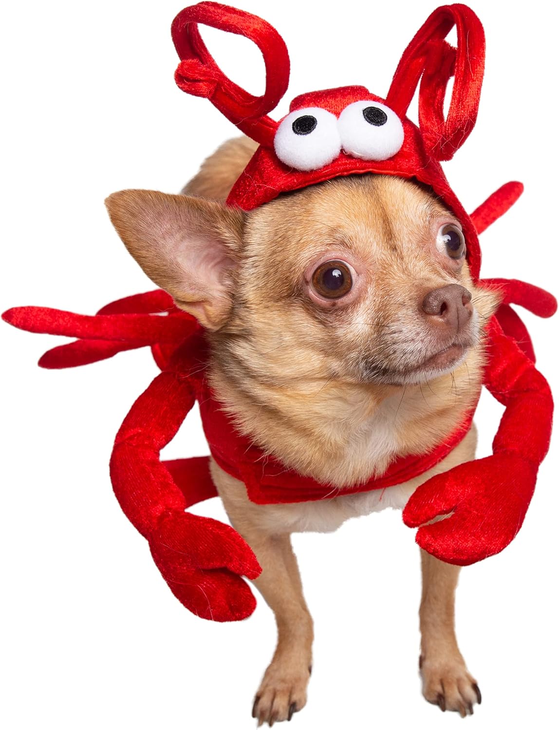 Dog Costume – Lobster
