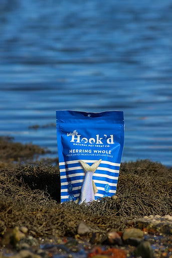 Freeze-Dried Whole Herring - 2oz