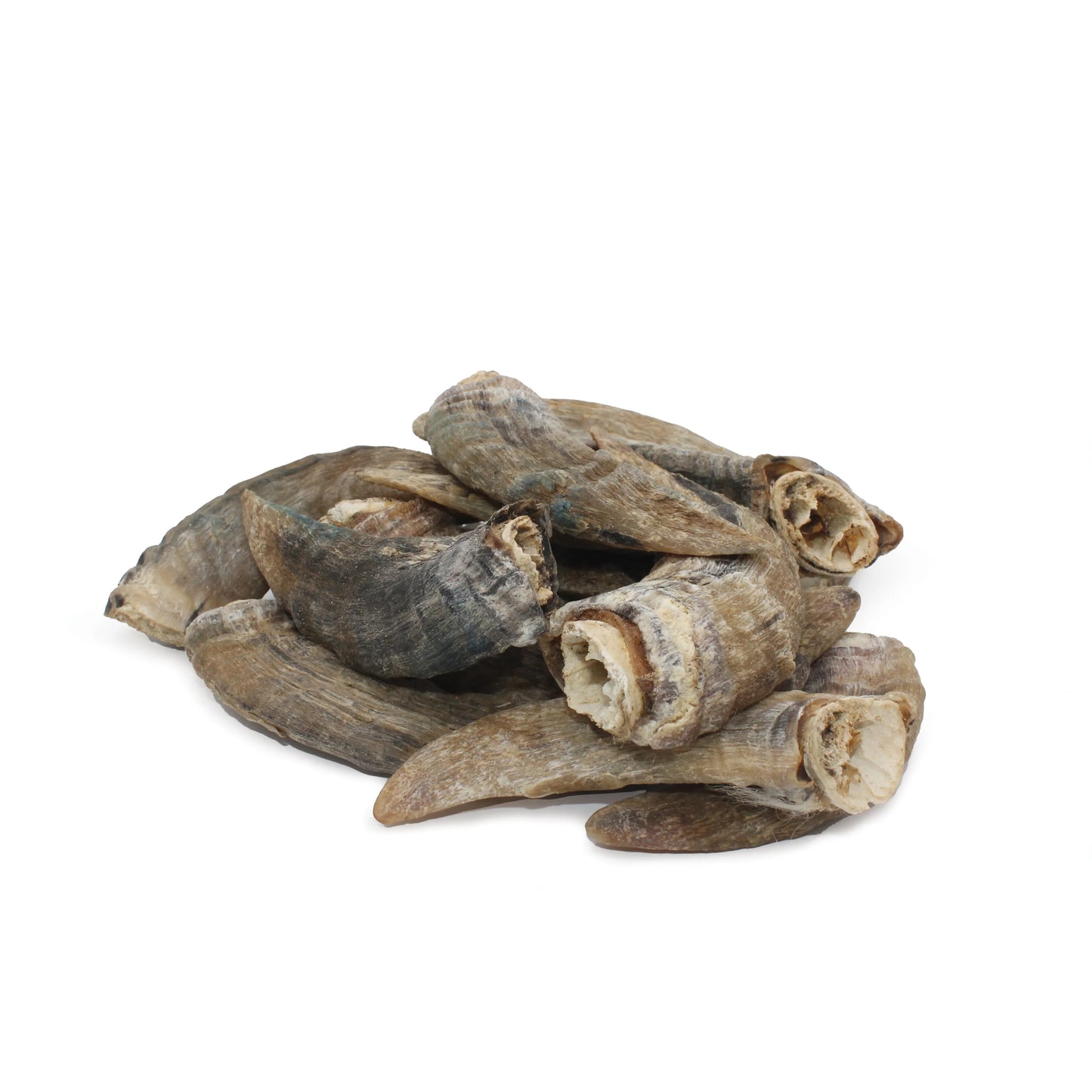 Lamb Horn w/ Marrow - Small - ea.