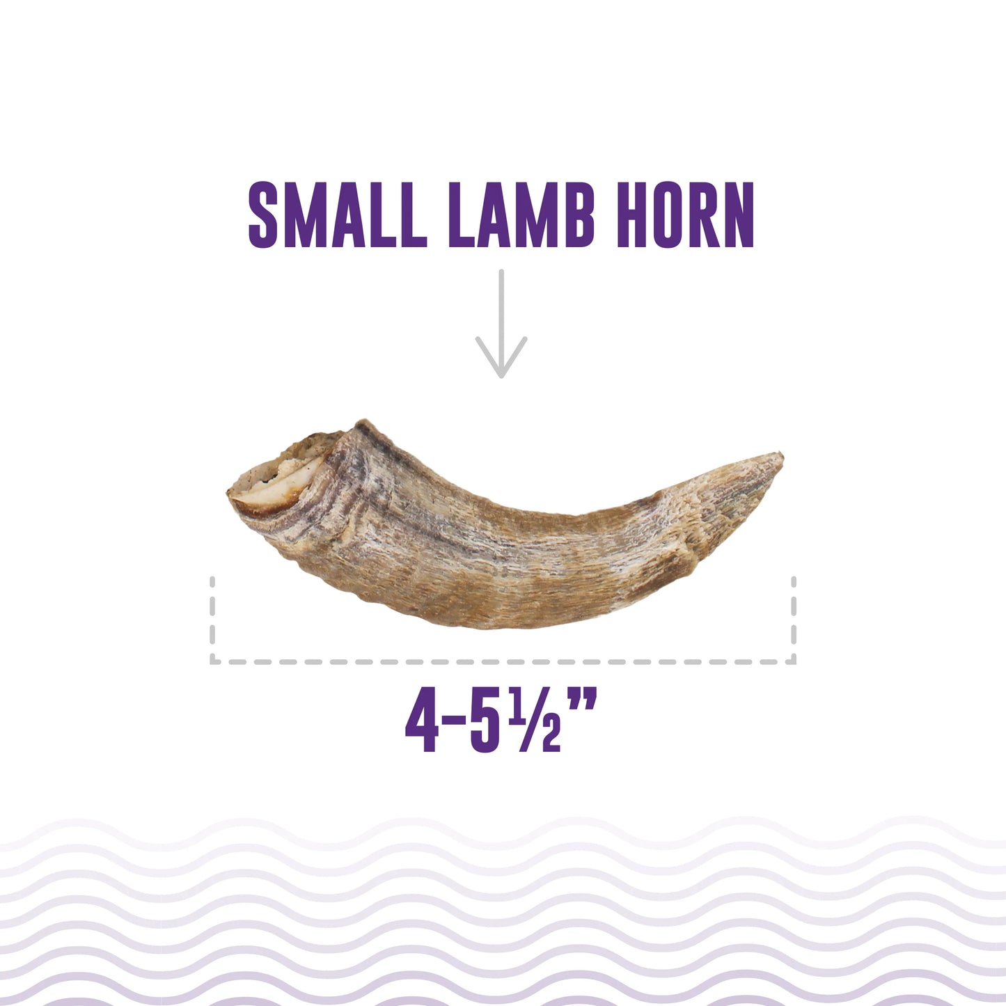 Lamb Horn w/ Marrow - Small - ea.