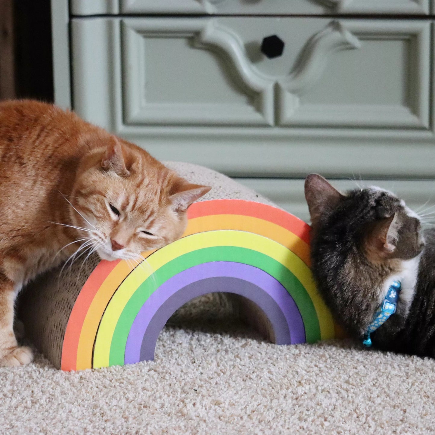 Expandable Cat Scratcher - Rainbow