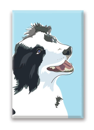 Magnet – Border Collie (3 Magnets)
