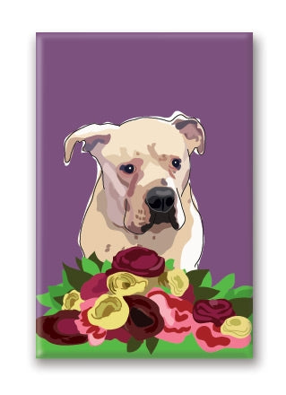 Magnet – Pit Bull (3 Magnets)