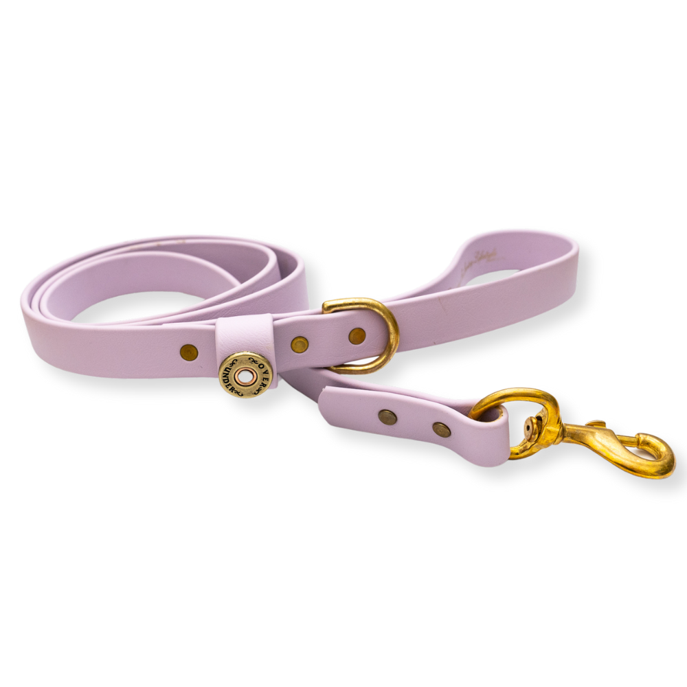 1" x 5ft Mudproof Dog Leash - Lavender