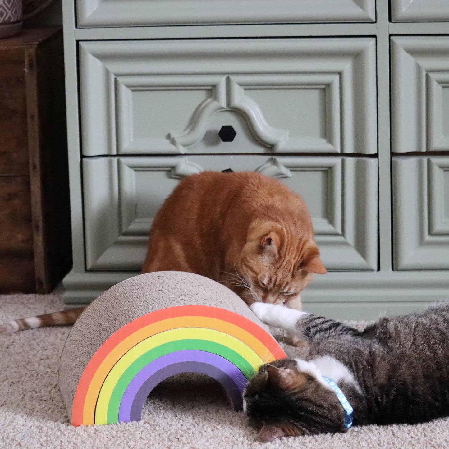 Expandable Cat Scratcher - Rainbow