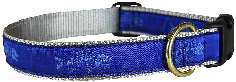 1” Ribbon Dog Collar – Rogue Fish, Blue