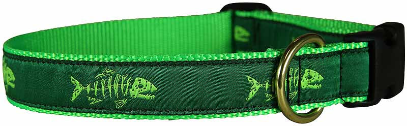 1” Ribbon Dog Collar – Rogue Fish, Lime