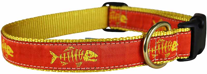 1” Ribbon Dog Collar – Rogue Fish, Orange