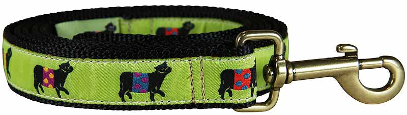 1” x 6ft Ribbon Dog Leash – Beltie, Lime