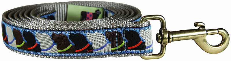1” x 6ft Ribbon Dog Leash – Who Wants Treats?, Silver